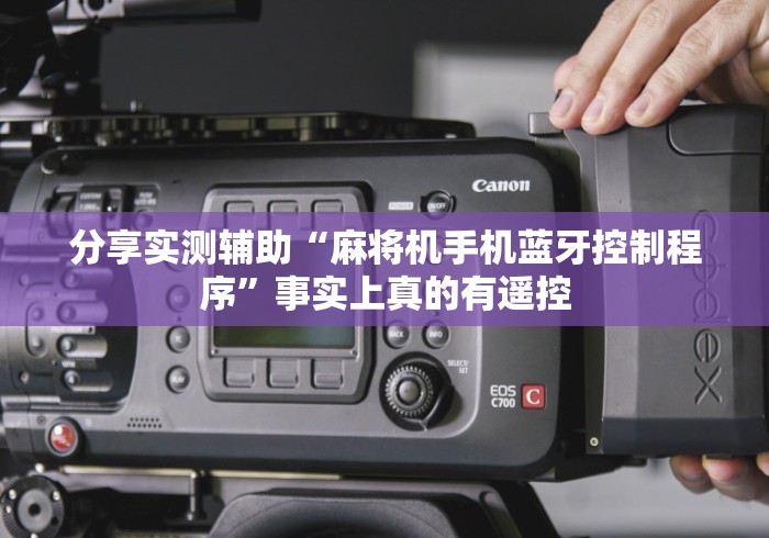 辅助最新信息“麻将机遥控器多少钱”(原来确实是有插件) 辅助最新信息“麻将机遥控器多少钱”(原来确实是有插件)