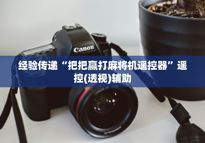 经验传递“把把赢打麻将机遥控器”遥控(透视)辅助
