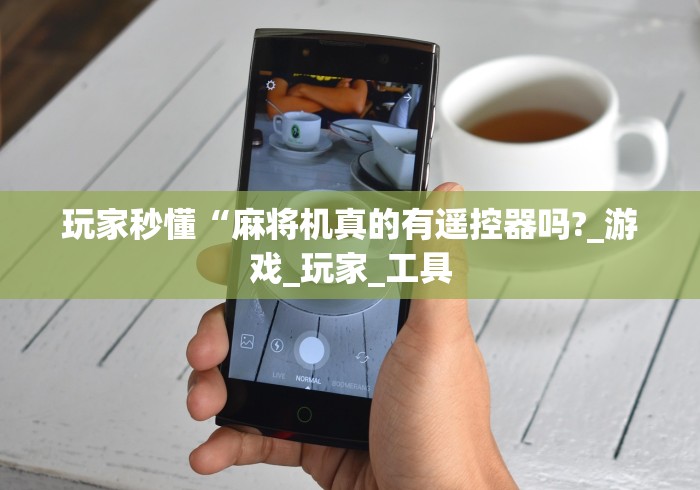 玩家秒懂“麻将机真的有遥控器吗?_游戏_玩家_工具 玩家秒懂“麻将机真的有遥控器吗?_游戏_玩家_工具