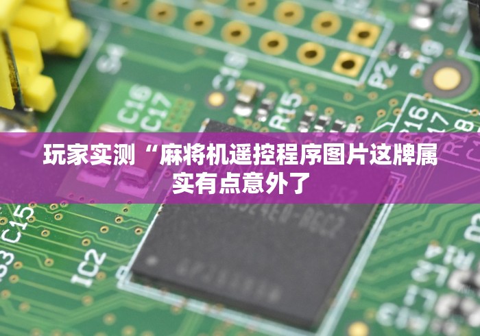 玩家实测“麻将机遥控程序图片这牌属实有点意外了