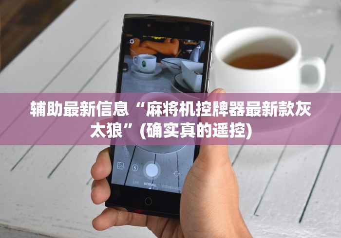 辅助最新信息“麻将机控牌器最新款灰太狼”(确实真的遥控)