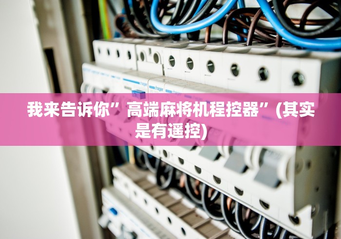 我来告诉你”高端麻将机程控器”(其实是有遥控) 我来告诉你”高端麻将机程控器”(其实是有遥控)