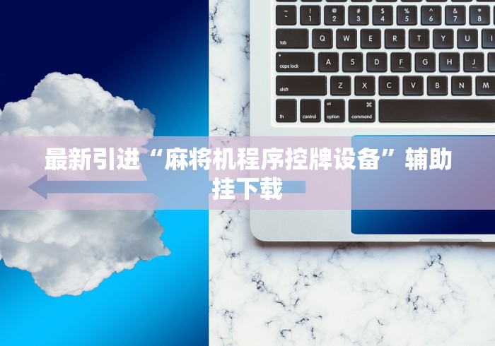 最新引进“麻将机程序控牌设备”辅助挂下载