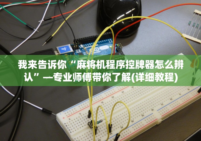 我来告诉你“麻将机程序控牌器怎么辨认”—专业师傅带你了解(详细教程) 我来告诉你“麻将机程序控牌器怎么辨认”—专业师傅带你了解(详细教程)