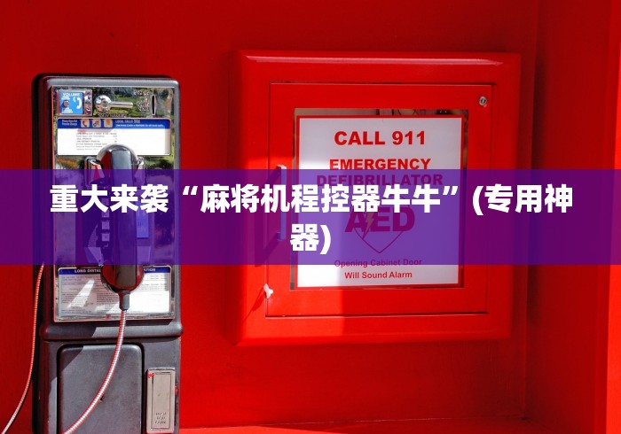 重大来袭“麻将机程控器牛牛”(专用神器)