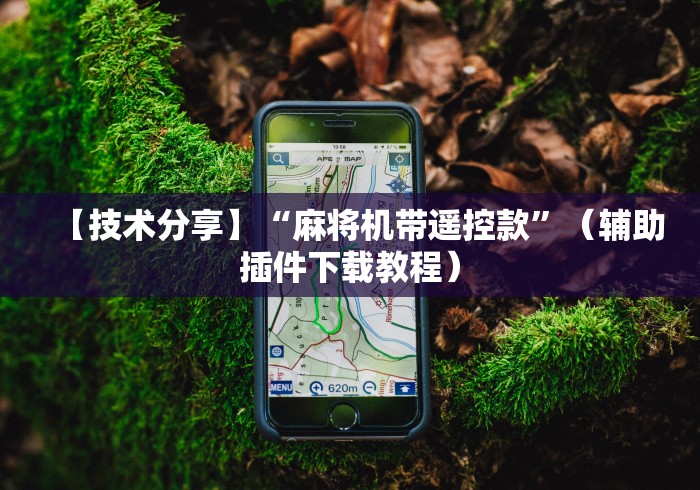 【技术分享】“麻将机带遥控款”(辅助插件下载教程) 【技术分享】“麻将机带遥控款”(辅助插件下载教程)