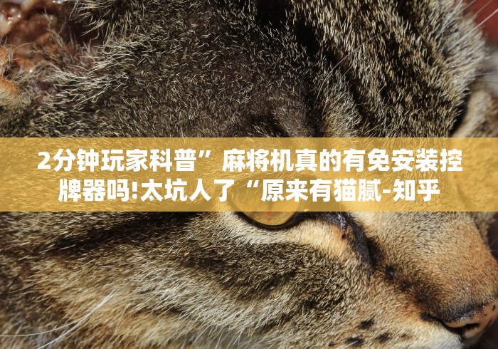 2分钟玩家科普”麻将机真的有免安装控牌器吗!太坑人了“原来有猫腻-知乎