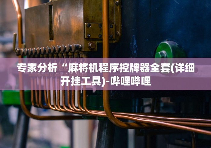 必看教程“贵阳普通麻将机遥控器”遥控(透视)辅助教程