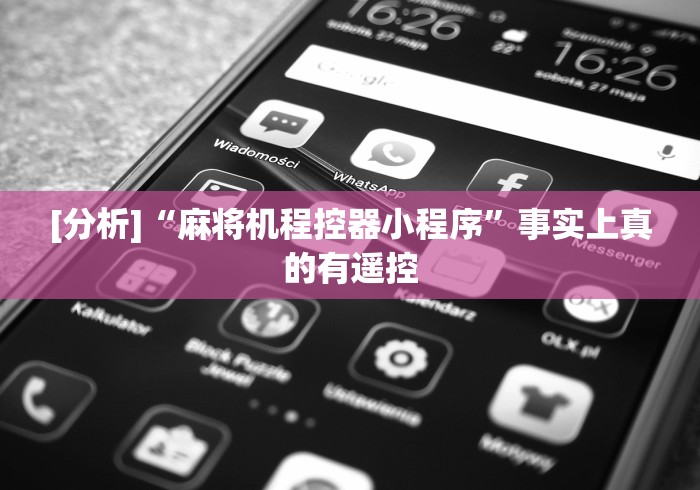 [分析]“麻将机程控器小程序”事实上真的有遥控