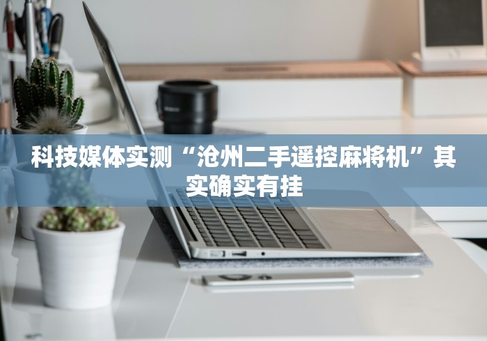 【第一发现】“全自动麻将机遥控软件”(其实是有遥控)