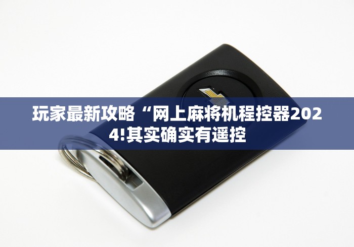 玩家最新攻略“网上麻将机程控器2024!其实确实有遥控