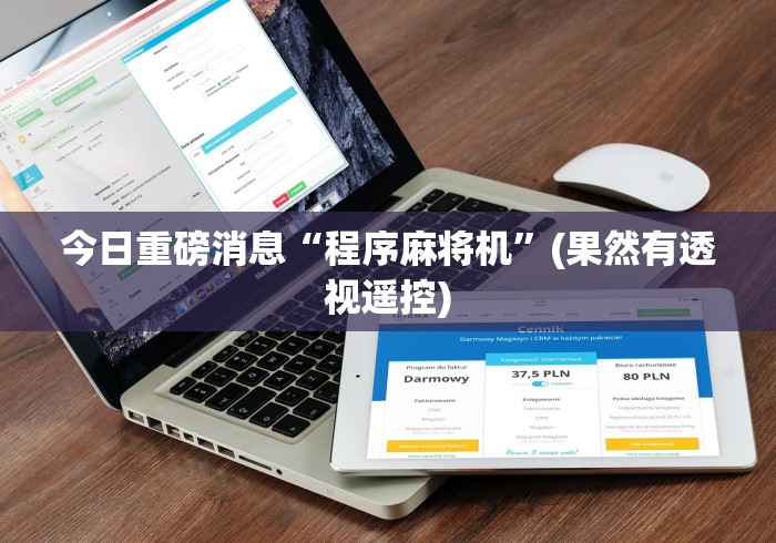 今日重磅消息“程序麻将机”(果然有透视遥控) 今日重磅消息“程序麻将机”(果然有透视遥控)