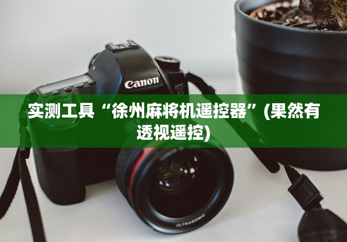 实测工具“徐州麻将机遥控器”(果然有透视遥控) 实测工具“徐州麻将机遥控器”(果然有透视遥控)