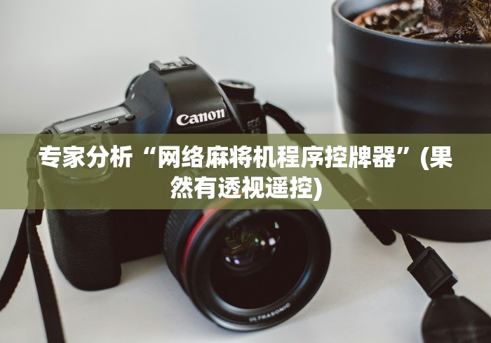 专家分析“网络麻将机程序控牌器”(果然有透视遥控)