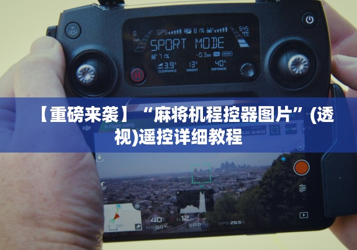 【重磅来袭】“麻将机程控器图片”(透视)遥控详细教程