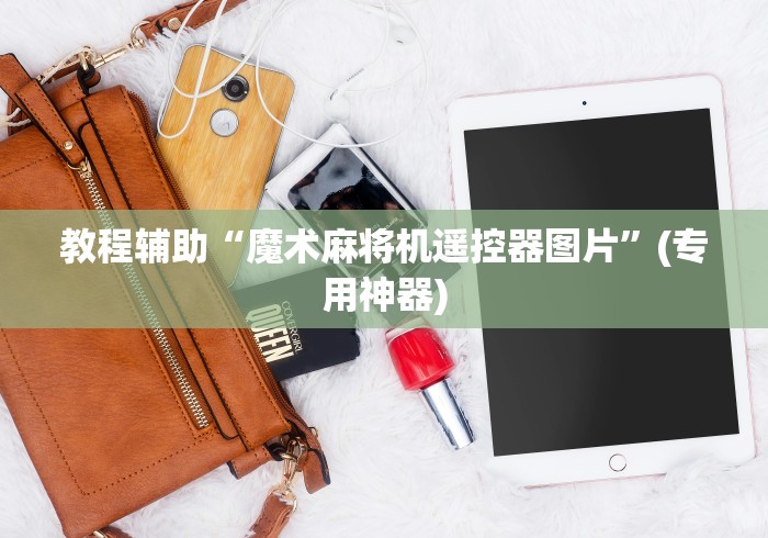 教程辅助“魔术麻将机遥控器图片”(专用神器)