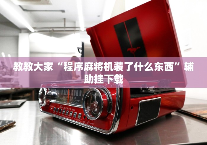 教教大家“程序麻将机装了什么东西”辅助挂下载