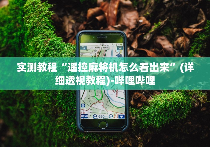 实测教程“遥控麻将机怎么看出来”(详细透视教程)-哔哩哔哩