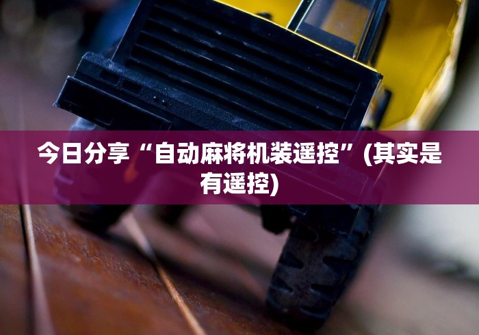 今日分享“自动麻将机装遥控”(其实是有遥控)