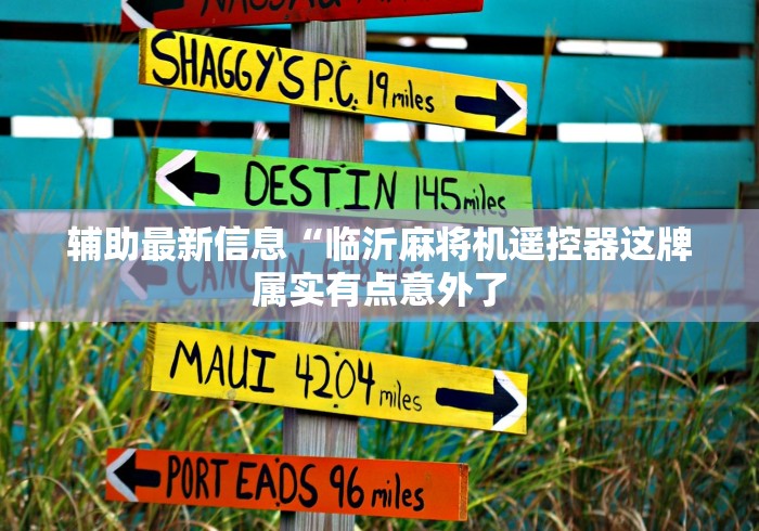 辅助最新信息“临沂麻将机遥控器这牌属实有点意外了 辅助最新信息“临沂麻将机遥控器这牌属实有点意外了