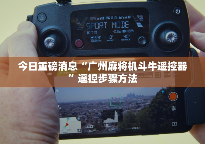 今日重磅消息“广州麻将机斗牛遥控器”遥控步骤方法