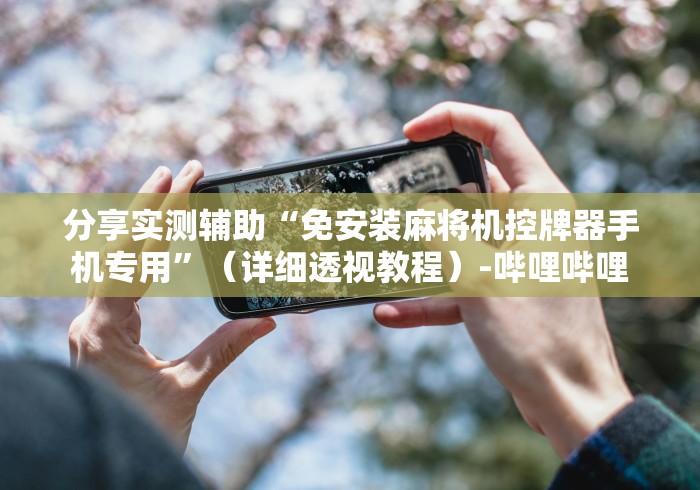 分享实测辅助“免安装麻将机控牌器手机专用”（详细透视教程）-哔哩哔哩