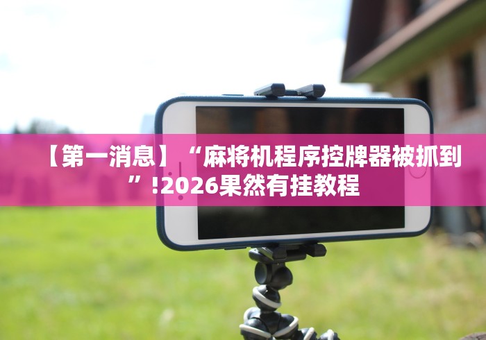 【第一消息】“麻将机程序控牌器被抓到”!2026果然有挂教程
