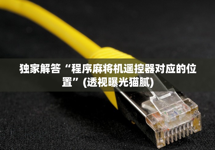 独家解答“程序麻将机遥控器对应的位置”(透视曝光猫腻)