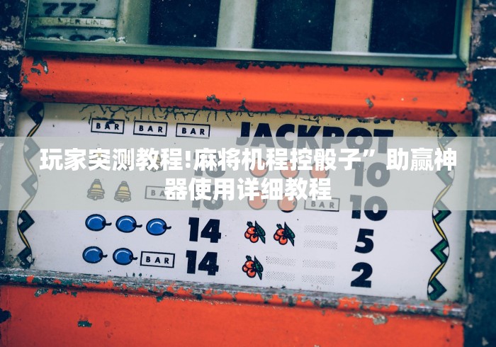 玩家突测教程!麻将机程控骰子”助赢神器使用详细教程