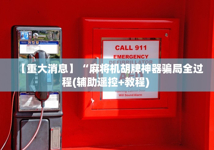 【重大消息】“麻将机胡牌神器骗局全过程(辅助遥控+教程) 