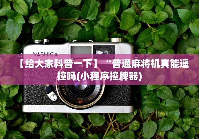 【给大家科普一下】“普通麻将机真能遥控吗(小程序控牌器)