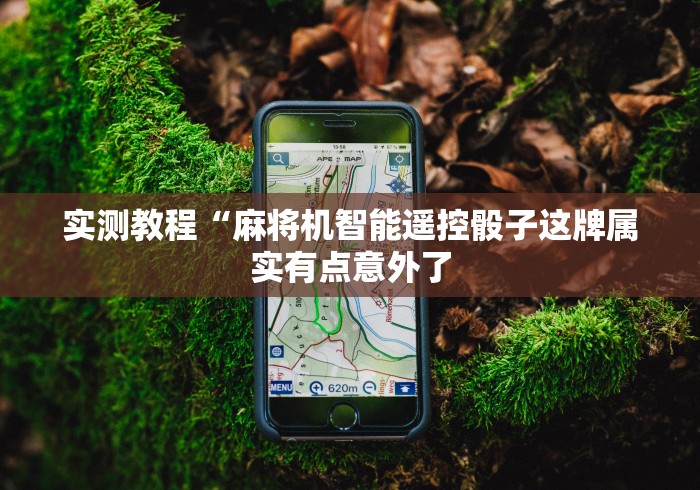 经验传递“雀友麻将机遥控器[玩家必赢神器]