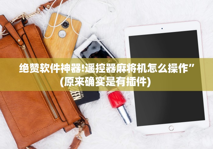 绝赞软件神器!遥控器麻将机怎么操作”(原来确实是有插件) 