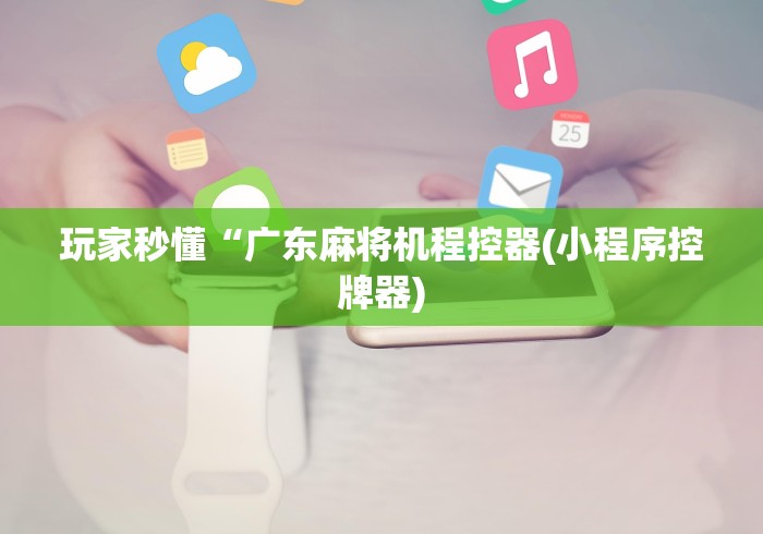 玩家秒懂“广东麻将机程控器(小程序控牌器)