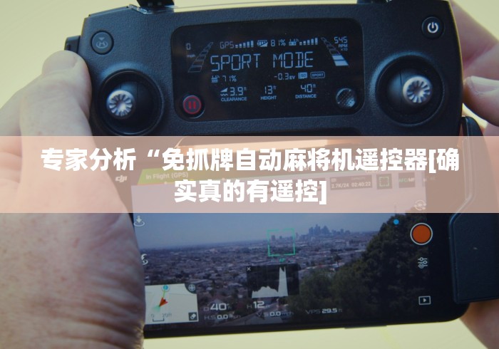 专家分析“免抓牌自动麻将机遥控器[确实真的有遥控]