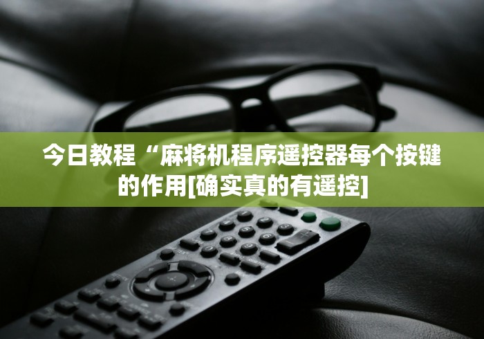 今日教程“麻将机程序遥控器每个按键的作用[确实真的有遥控]