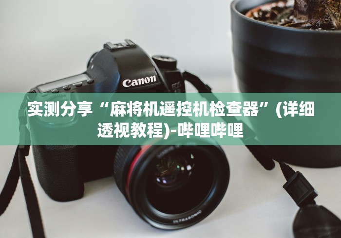 实测分享“麻将机遥控机检查器”(详细透视教程)-哔哩哔哩 实测分享“麻将机遥控机检查器”(详细透视教程)-哔哩哔哩