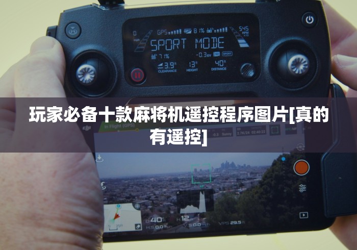 玩家必备十款麻将机遥控程序图片[真的有遥控]