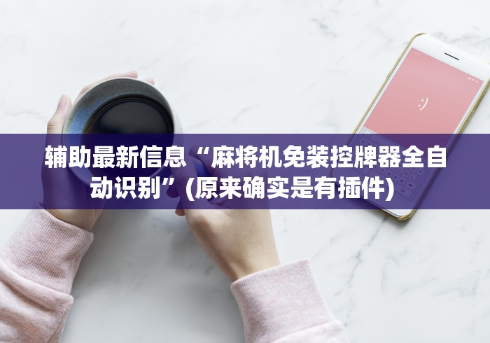 辅助最新信息“麻将机免装控牌器全自动识别”(原来确实是有插件) 