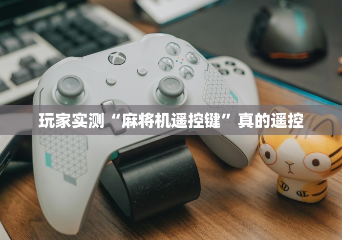 玩家实测“麻将机遥控键”真的遥控