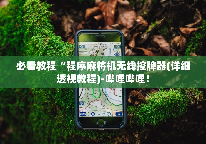 必看教程“程序麻将机无线控牌器(详细透视教程)-哔哩哔哩！